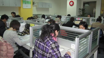 新易太和 北京新易太和教育咨詢有限公司的專業(yè)教育信息咨詢服務解析