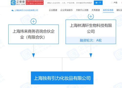 林清軒經(jīng)營公司拓展業(yè)務版圖，新設化妝品公司并布局電子商務與計算機軟硬件